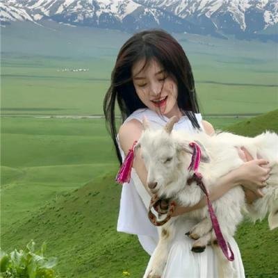 消失的大象